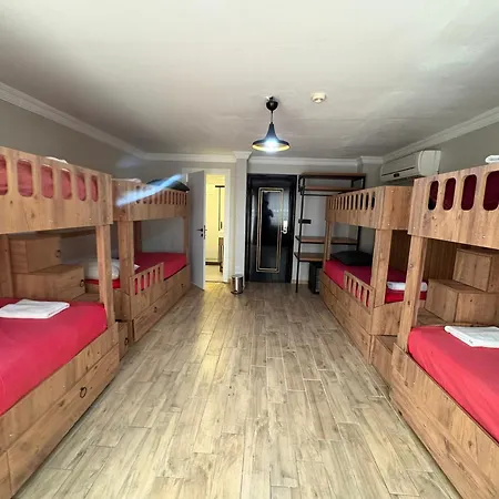 Lola Backpackers *